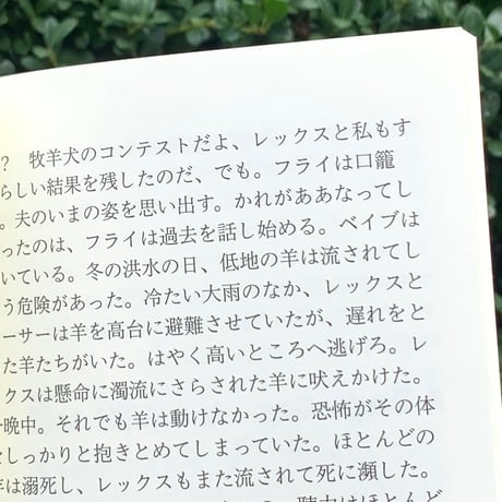 柿内正午｜「ベイブ」論、あるいは父についての序論
