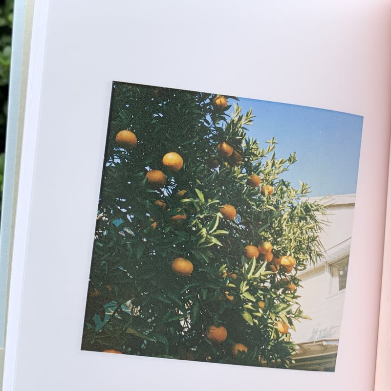 希少 入手困難】夏みかんの午後 Sunlight books