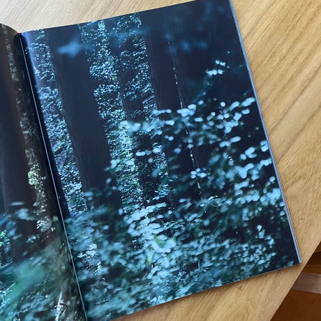 竹村麻紀子｜aoi