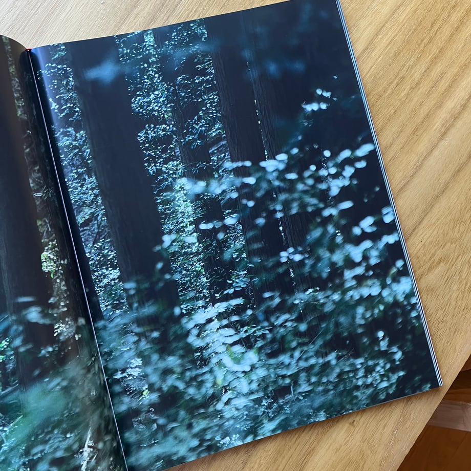 68805ed99267561209c09d54