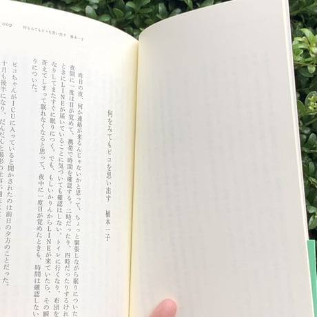 柏木ゆか　碇雪恵　植本一子｜われわれの雰囲気