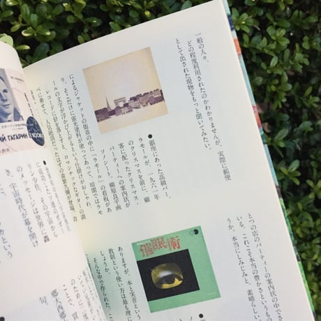 田口史人｜レコードと暮らし