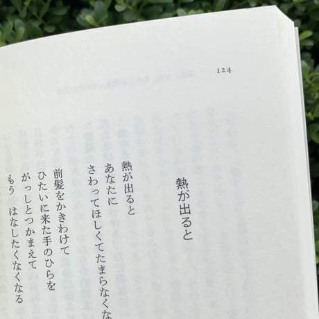向坂くじら｜夫婦間における愛の適温