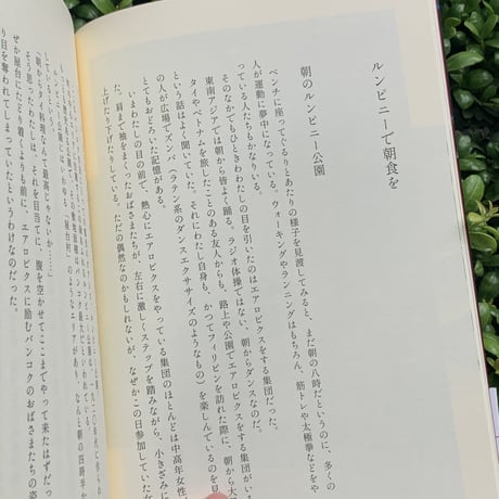 檀上 遼  | 馬馬虎虎 vol.2　タイ・ラオス紀行