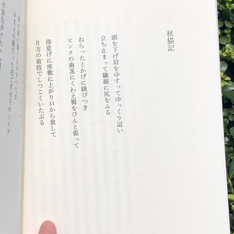 北村太郎 ｜空とぶ猫