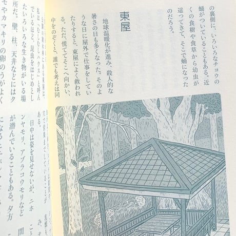 著：佐々木洋　絵：中村一般｜生きものハイウェイ