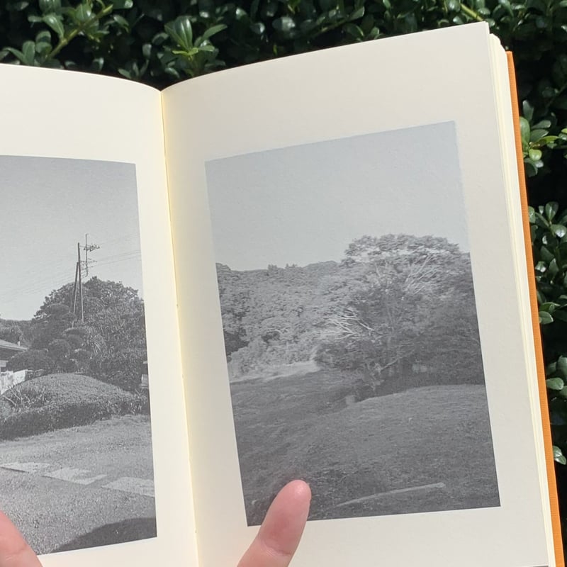 写真:富澤大輔 文・書:柯輝煌 | 字 | SUNNY BOY BOOKS 写真:富澤大輔 文・書:柯輝煌 | 字 | SUNNY BOY BOOKS