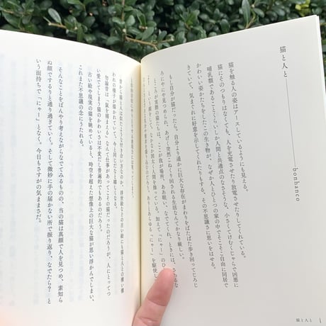 君と暮らせば