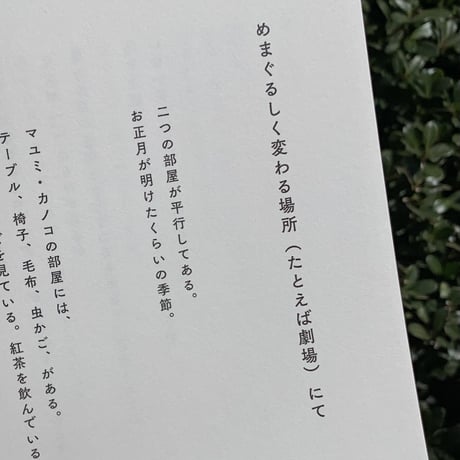 宮崎玲奈 | つかの間の道