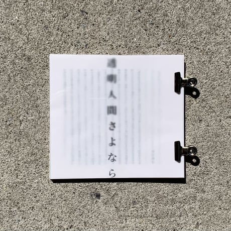 透明人間さよなら