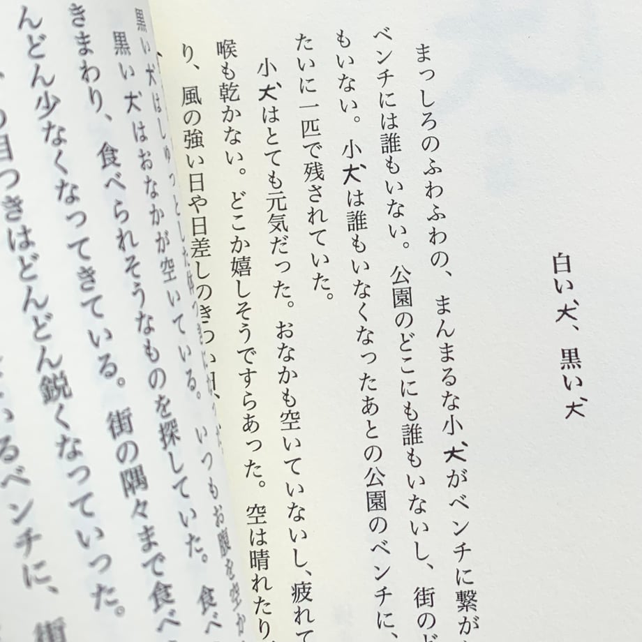 6493d64c427a880032c68475