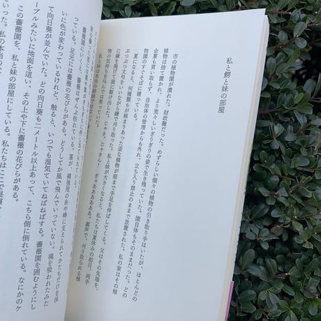 私と鰐と妹の部屋