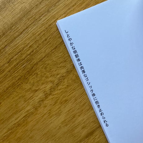 田中みれい｜A Lunch