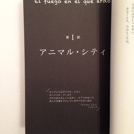 マイク・ライトウッド｜ぼくを燃やす炎