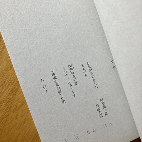 大崎清夏｜珠洲の夜の夢
