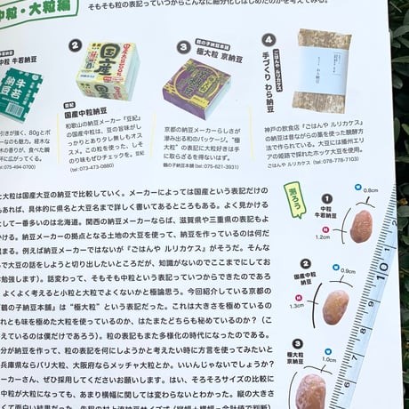納豆マガジン  一号