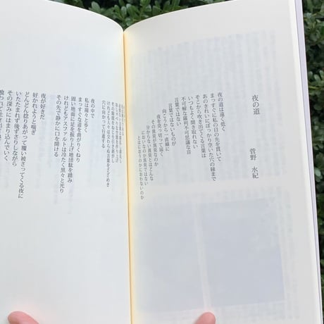 APIED 各号