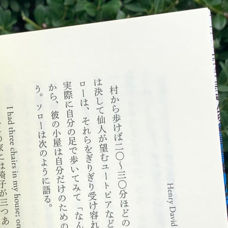 青木真兵　光嶋裕介　白岩英樹｜ぼくらの「アメリカ論」