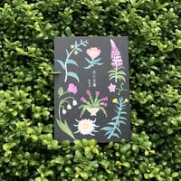 柊有花 | 花と言葉