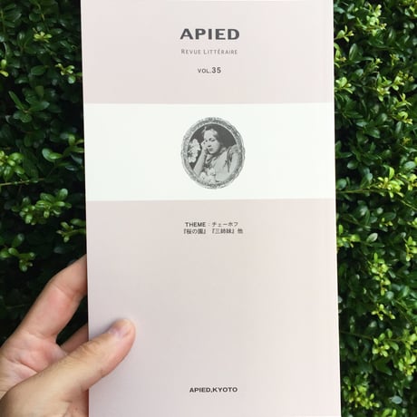 APIED 各号