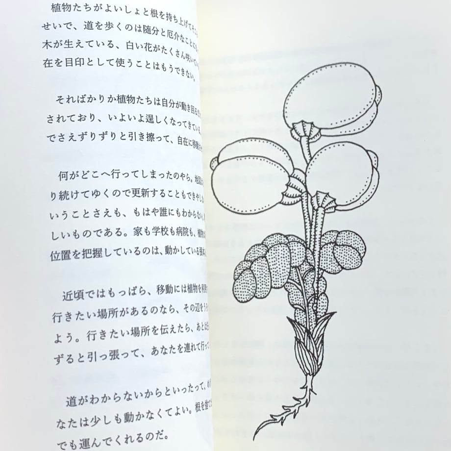 669231dfe1ab3707473db0d0