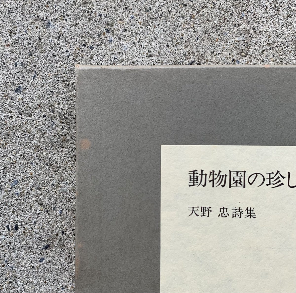 天野忠 | 動物園の珍しい動物(古) | SUNNY BOY BOOKS 天野忠 | 動物園の珍しい動物(古) | SUNNY BOY BOOKS