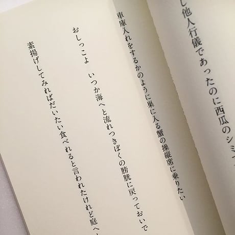 寺井奈緒美｜アーのようなカー