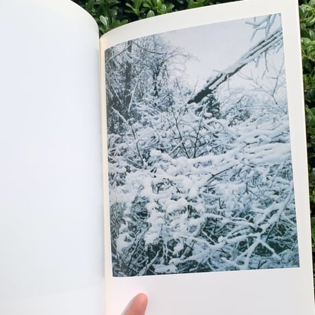 Takashi Homma｜Mountain Photographer "寅彦" Torahiko（古）