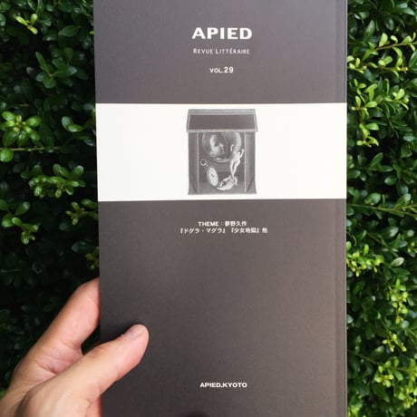 APIED 各号