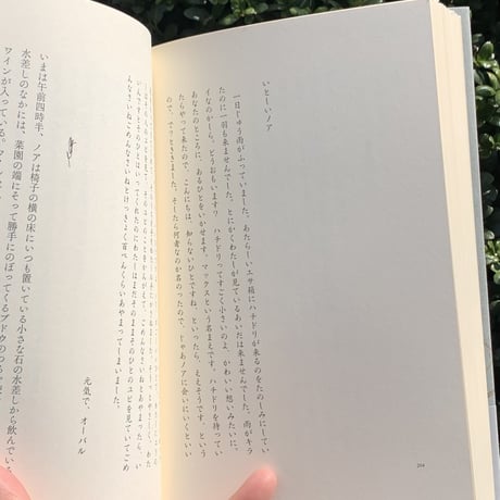 著：レアード・ハント　訳：柴田元幸｜インディアナ、インディアナ
