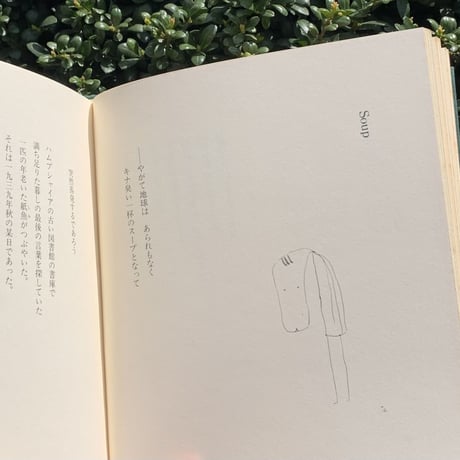 天野忠  | 動物園の珍しい動物（古）