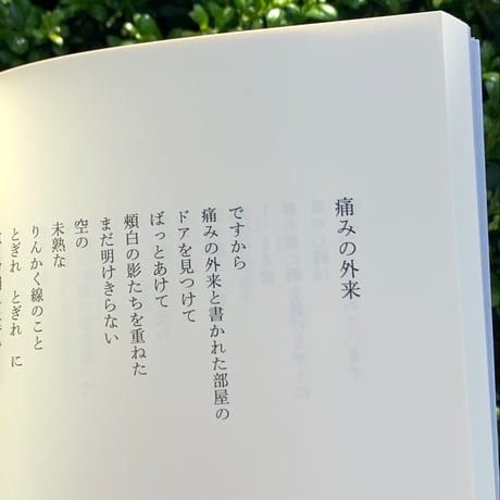 編：四ッ谷龍｜編棒を火の色に替えてから　冬野虹詩文集