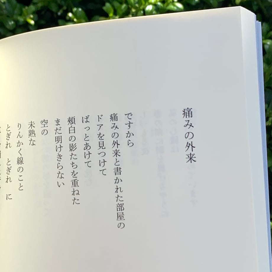 6635dcc5dbaefd6810f62a2d