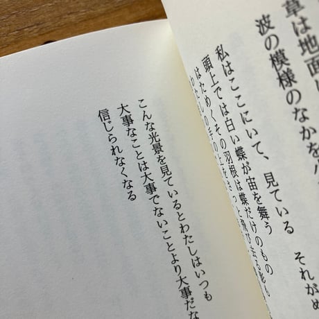 ヴィスワヴァ・シンボルスカ｜終わりと始まり