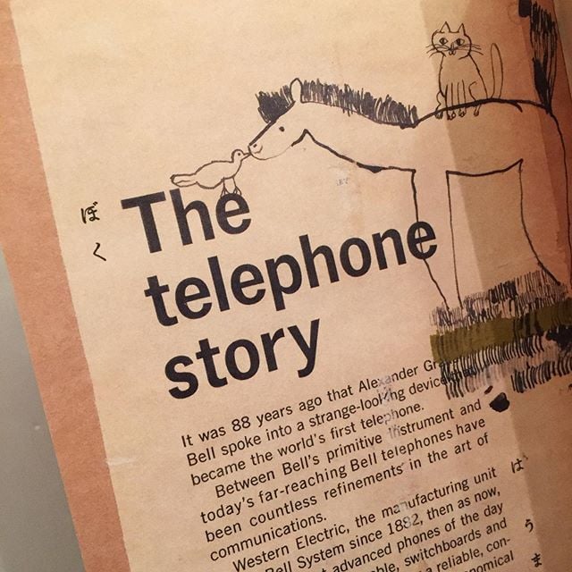 中西なちお｜HORSE | ゆっくりつたえるストアー