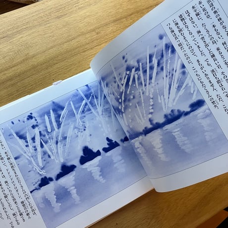 野坂昭如＝作、黒田征太郎＝絵　戦争童話集　沖縄篇｜ウミガメと少年（古）
