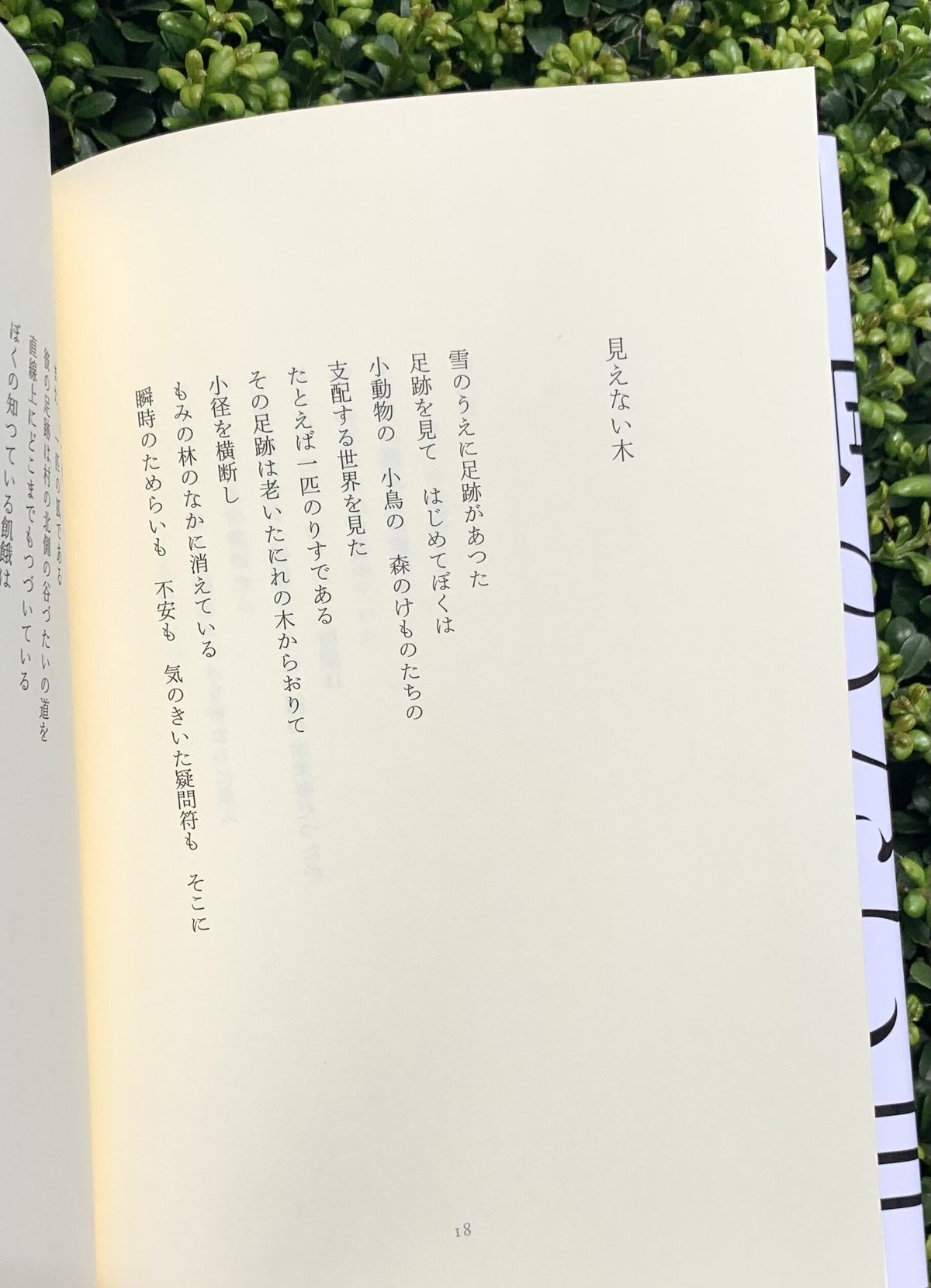 田村隆一 |言葉のない世界 | SUNNY BOY BOOKS 田村隆一 |言葉のない世界 | SUNNY BOY BOOKS