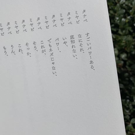 宮崎玲奈 | つかの間の道