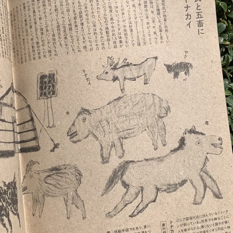 伊藤洋志 | 羊と自分が同じ直線上にいる
