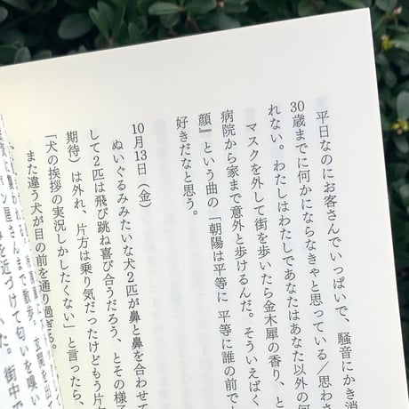 きら｜いしを拾う