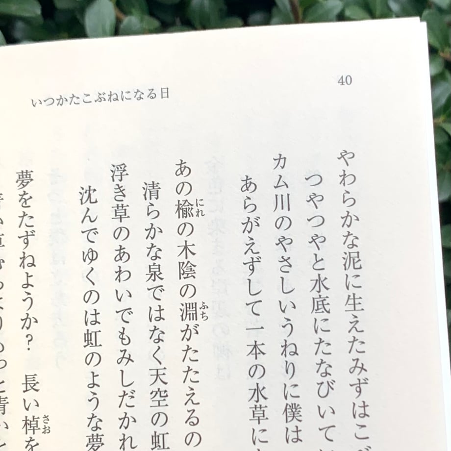 65ab4d403ffd8e30c5c731c3