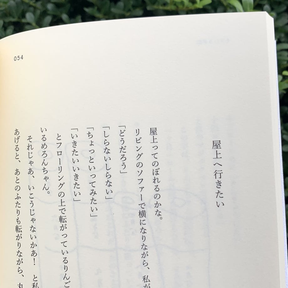 64f6b79d1b359a002fdec39f
