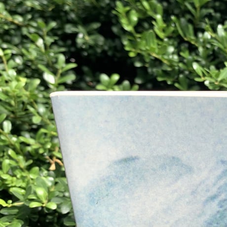 Takashi Homma｜Mountain Photographer "寅彦" Torahiko（古）
