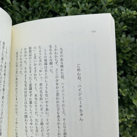 向坂くじら｜夫婦間における愛の適温