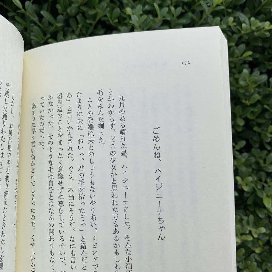 64f2d6c6c4153f0033b608b6