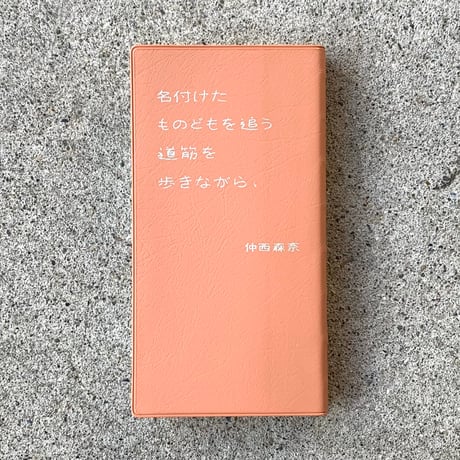 仲西森奈｜名付けたものどもを追う 道筋を歩きながら、
