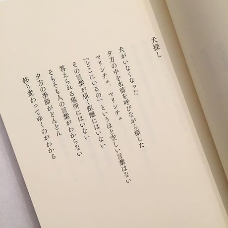 管啓次郎｜犬探し / 犬のパピルス