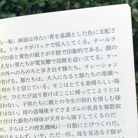 柿内正午｜「ベイブ」論、あるいは父についての序論