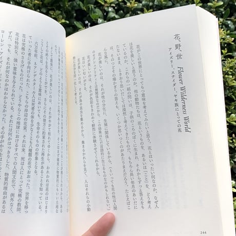 管啓次郎 | エレメンタル　批評文集