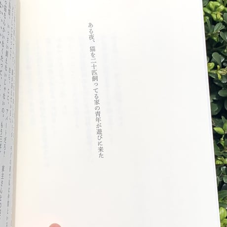 北村太郎 ｜空とぶ猫